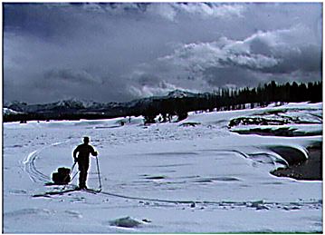 Danski.JPG (28236 bytes)