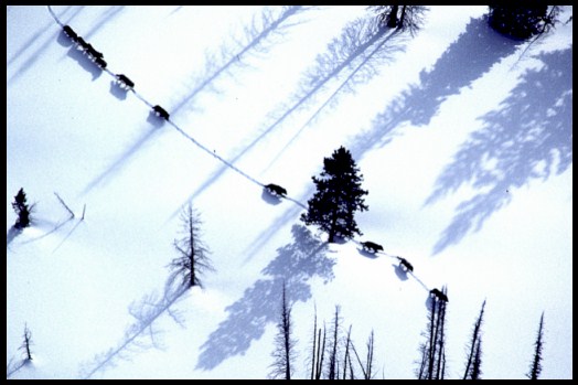 Dscrystl.jpg (44791 bytes)