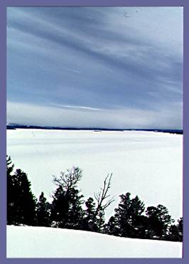 Yellake.jpg (13184 bytes)