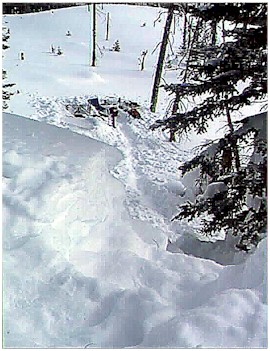 grdstrcs.JPG (43735 bytes)