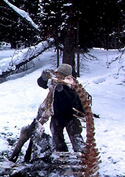 spinexam.jpg (28999 bytes)